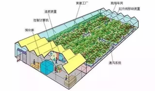 智能溫室 計(jì)算機(jī)系統(tǒng)服務(wù)引領(lǐng)現(xiàn)代農(nóng)業(yè)發(fā)展新方向